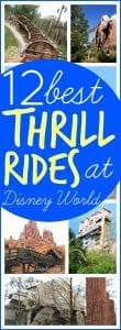 Best Walt Disney world thrill rides