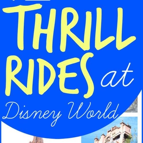 Best Walt Disney world thrill rides