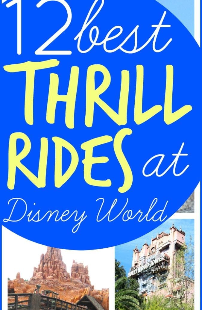 Best Walt Disney world thrill rides