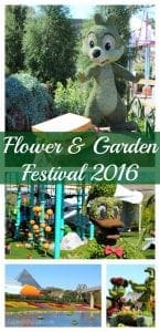 2016 Epcot flower and garden festival