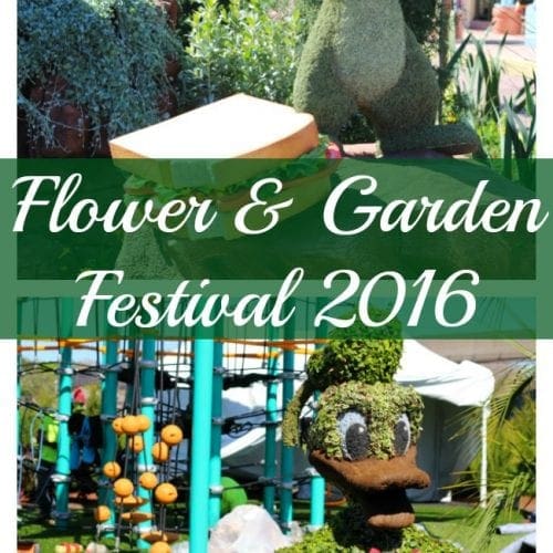 2016 Epcot flower and garden festival