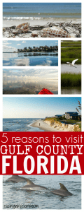 Reasons for your family to visit gulf county Florida