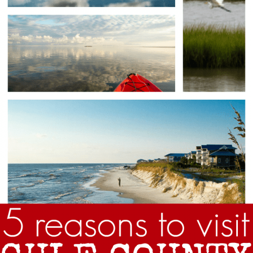 Reasons for your family to visit gulf county Florida