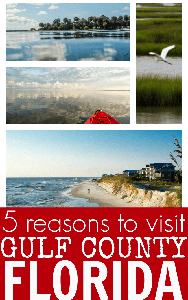 Reasons for your family to visit gulf county Florida
