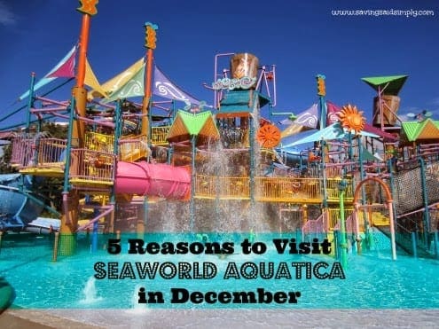 Reasons to visit SeaWorld Aquatica in December