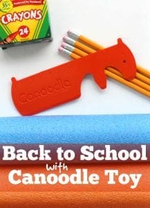Back to school canoodle toy
