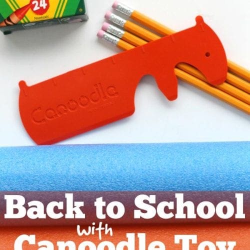 Back to school canoodle toy