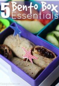 Bento box essentials for school lunch success