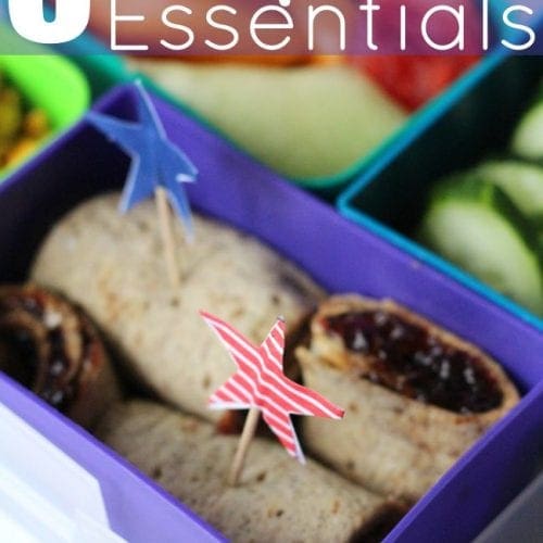 Bento box essentials for school lunch success