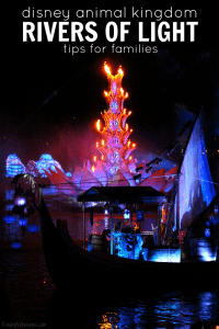 Best tips for seeing rivers of light