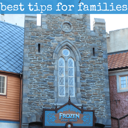 Best tips to ride frozen ever after at Walt Disney World
