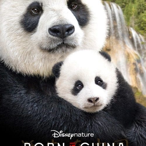 Born in China movie review safe for kids