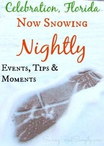 Celebration Florida annual snow