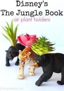 DIY Disney the jungle book air plant holders