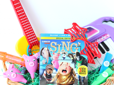 DIY pig maracas