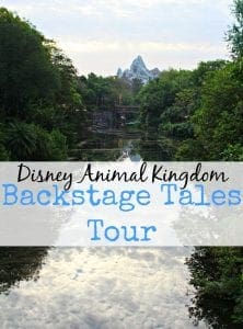 Disney animal kingdom backstage tales tour tips
