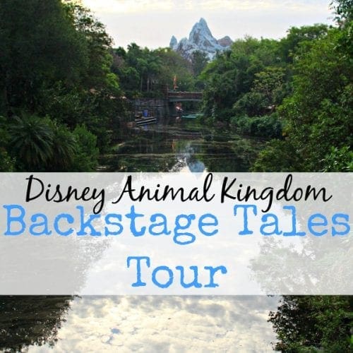 Disney animal kingdom backstage tales tour tips