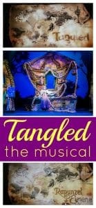 Disney Magic's tangled the musical