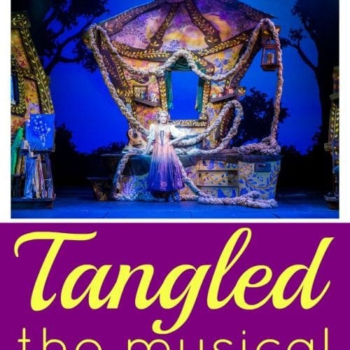 Disney Magic's tangled the musical
