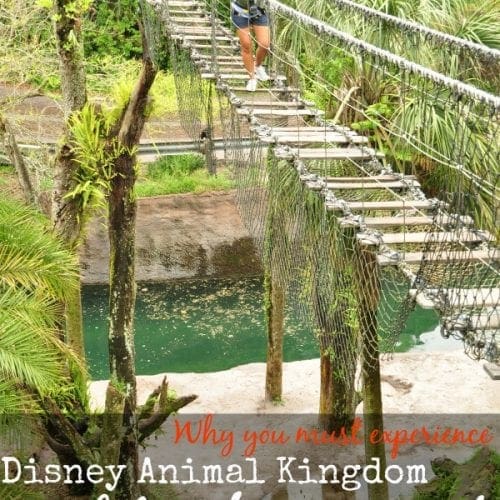 Disney wild Africa trek review