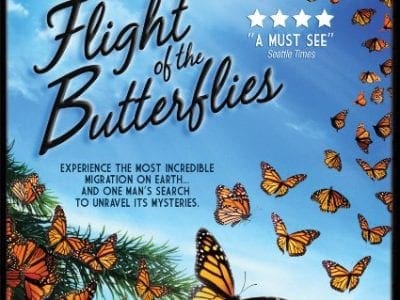 Flight of the butterflies blu-ray