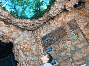Free field trip waterventures lab