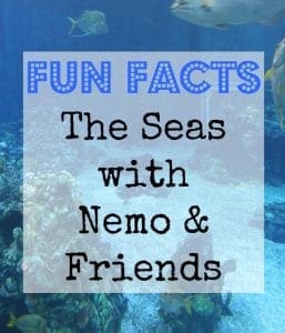 Fun facts Epcot seas with nemo and friends