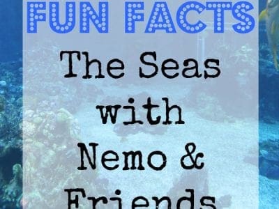 Fun facts Epcot seas with nemo and friends