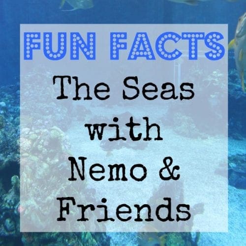 Fun facts Epcot seas with nemo and friends