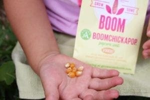Grow some boom boomchickapop