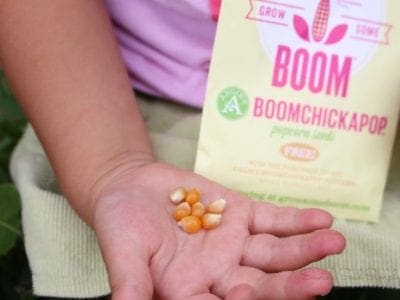 Grow some boom boomchickapop