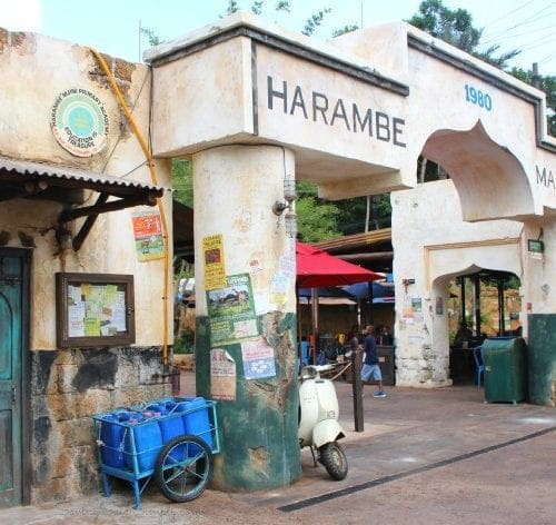 Harambe market Disney animal kingdom