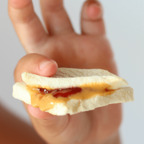 Mini PBJ apple chip sandwiches