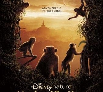 Monkey Kingdom review safe for kids