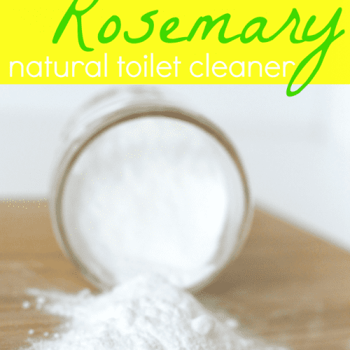 Natural toilet cleaner