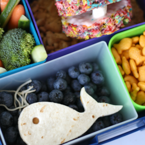Ocean bento lunch ideas