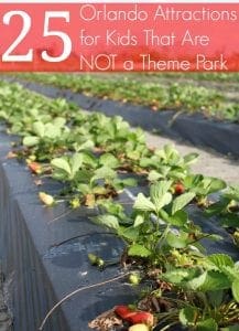 Orlando attractions for kids not theme park
