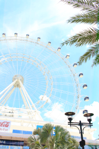 Picnic lunch under the Orlando eye
