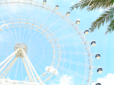 Picnic lunch under the Orlando eye