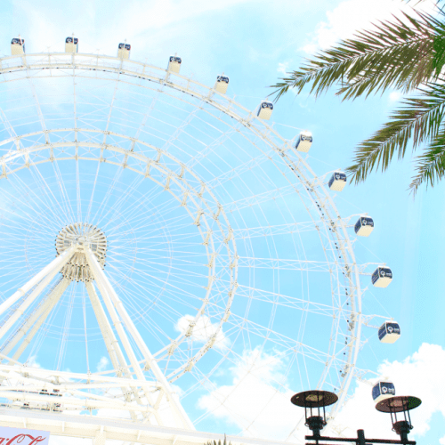 Picnic lunch under the Orlando eye