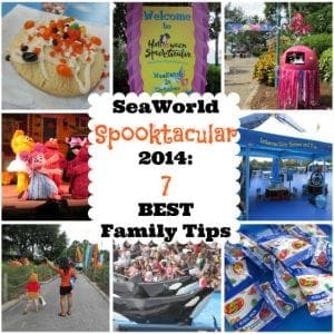 SeaWorld spooktacular best family tips