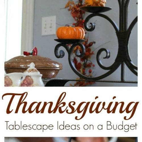 Thanksgiving tablescape ideas on a budget