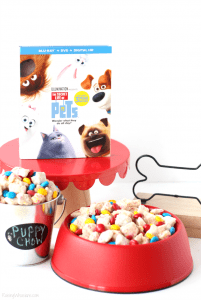 The secret life of pets party ideas