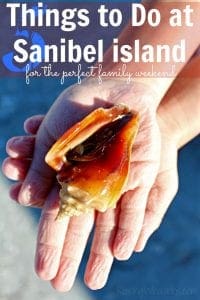 Things to do at Sanibel island