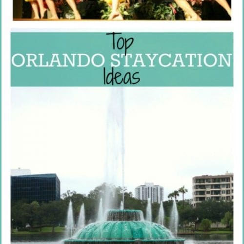Top Orlando staycation ideas