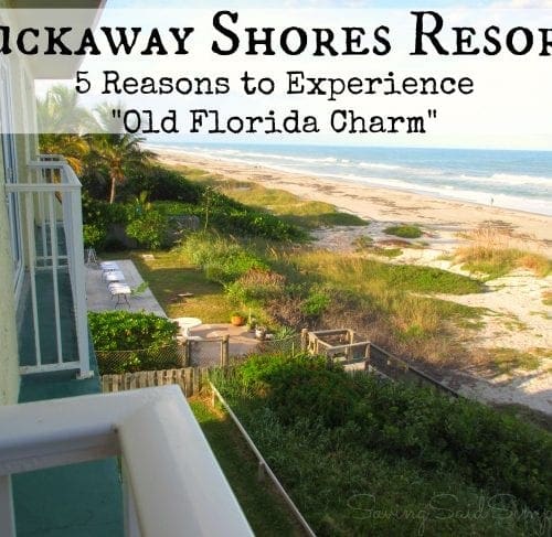 Tuckaway Shores Resort review