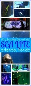 Why your family should visit sea life Orlando