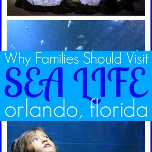 Why your family should visit sea life Orlando