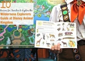 Wilderness explorers guide at Disney animal kingdom