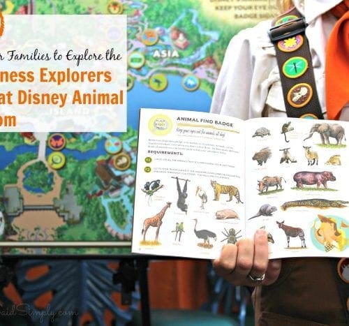 Wilderness explorers guide at Disney animal kingdom
